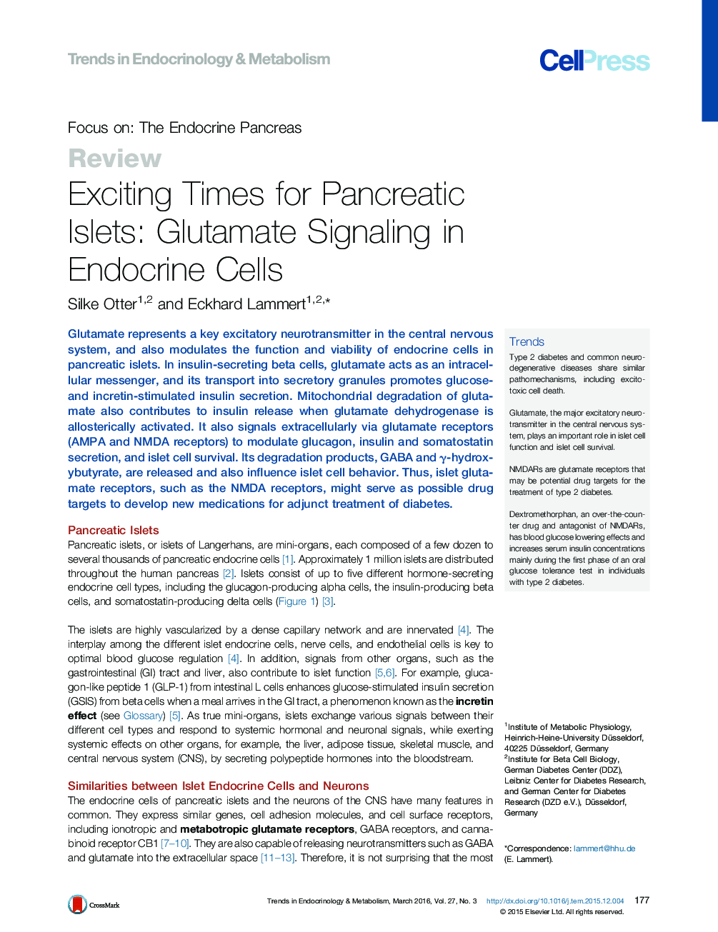 Exciting Times for Pancreatic Islets: Glutamate Signaling in Endocrine Cells