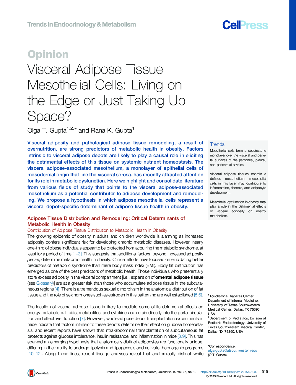 Visceral Adipose Tissue Mesothelial Cells: Living on the Edge or Just Taking Up Space?