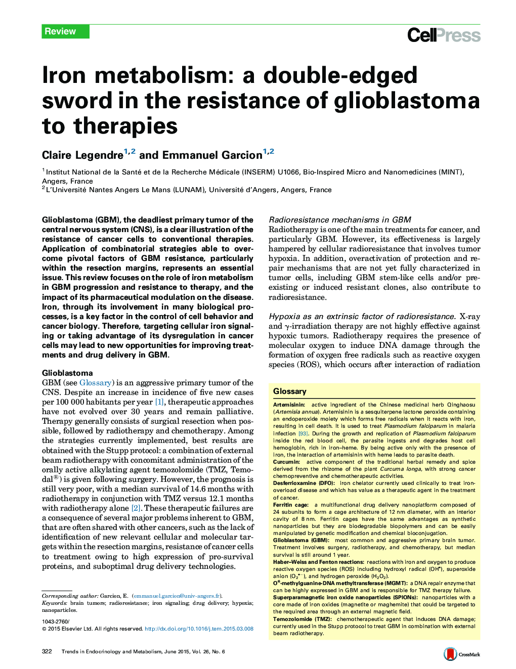 Iron metabolism: a double-edged sword in the resistance of glioblastoma to therapies
