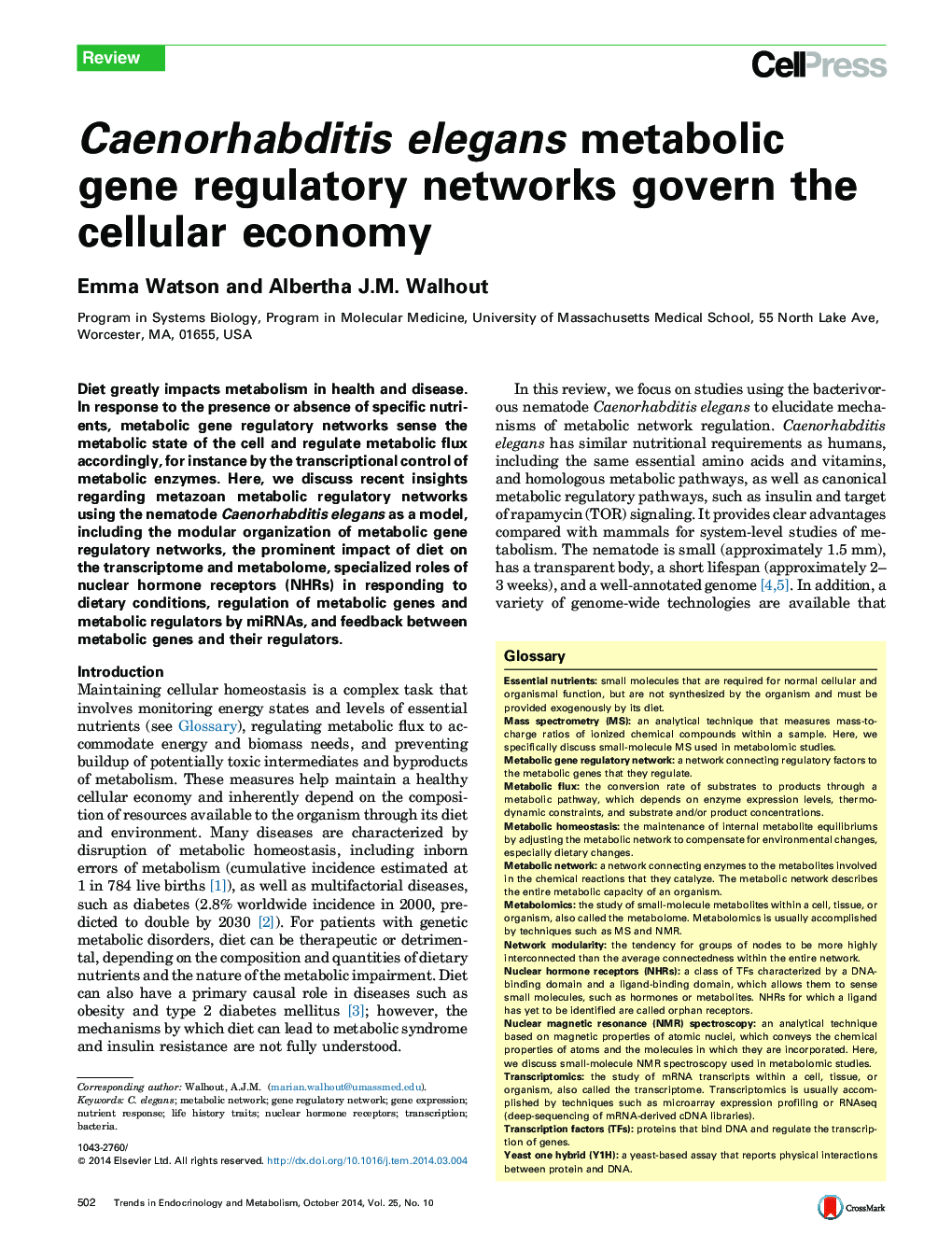 Caenorhabditis elegans metabolic gene regulatory networks govern the cellular economy
