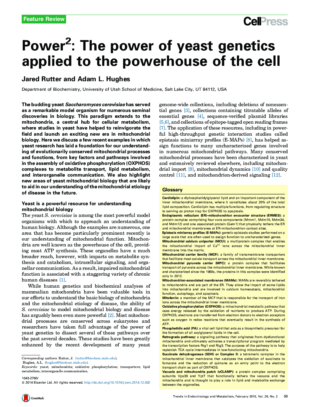 Power2: The power of yeast genetics applied to the powerhouse of the cell