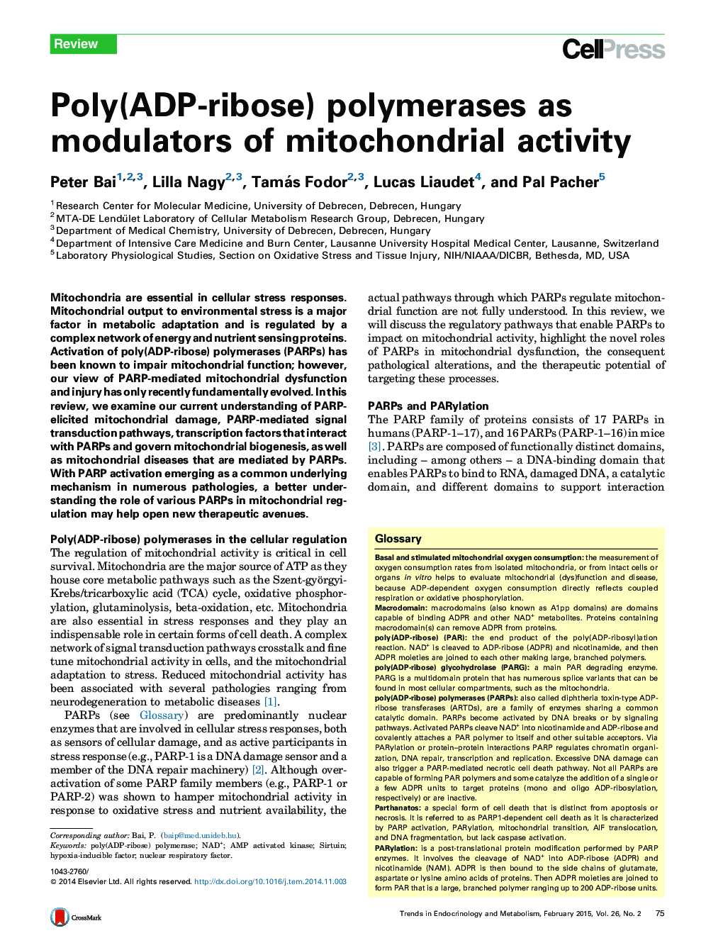 Poly(ADP-ribose) polymerases as modulators of mitochondrial activity