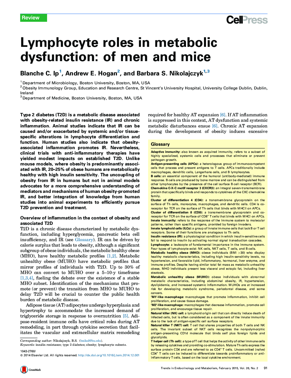نقش لنفوسیت در اختلال متابولیک: مردان و موش ها 