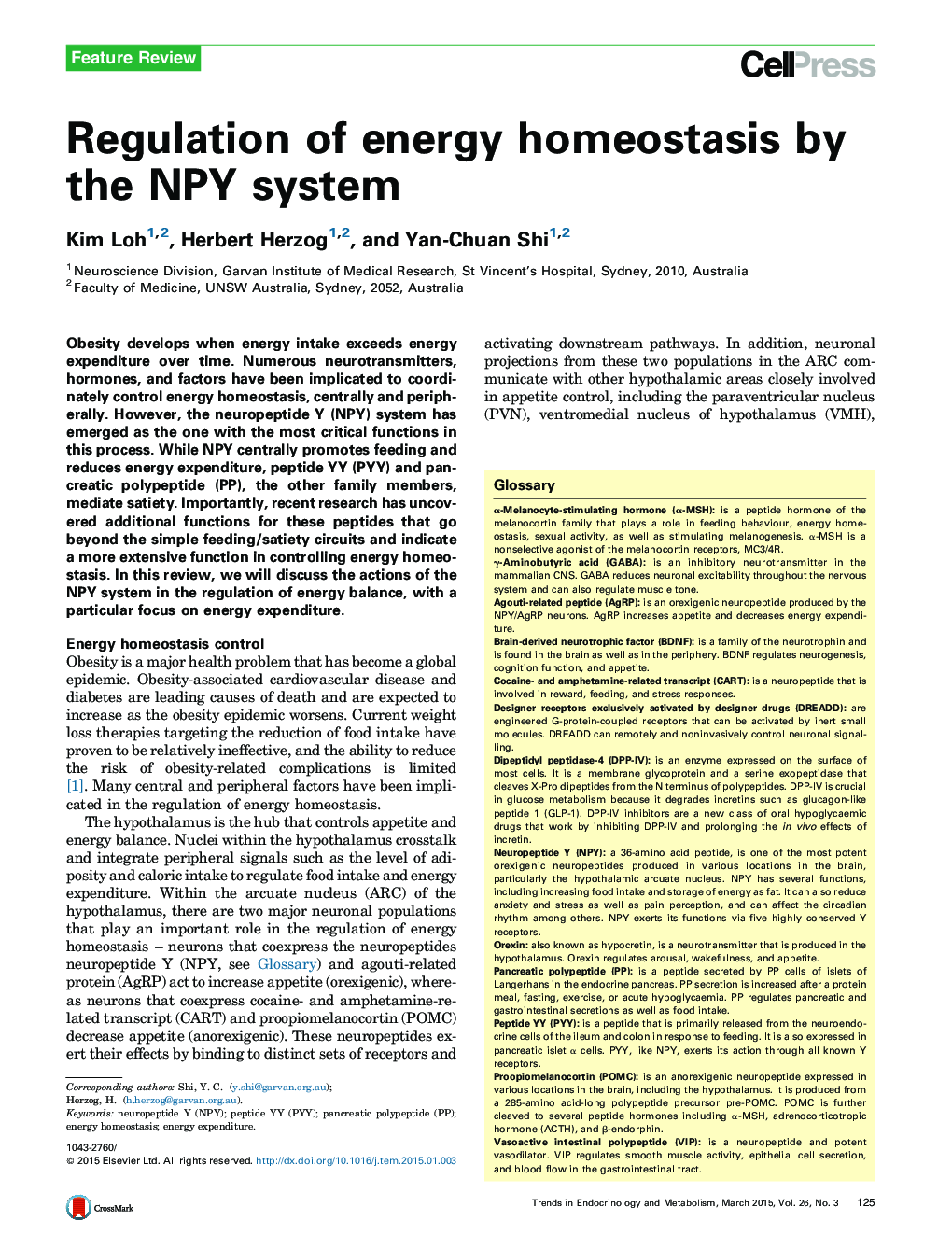 Regulation of energy homeostasis by the NPY system