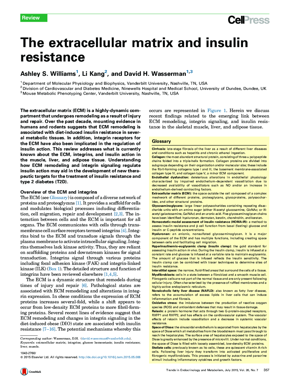 ماتریکس خارج سلولی و مقاومت به انسولین 