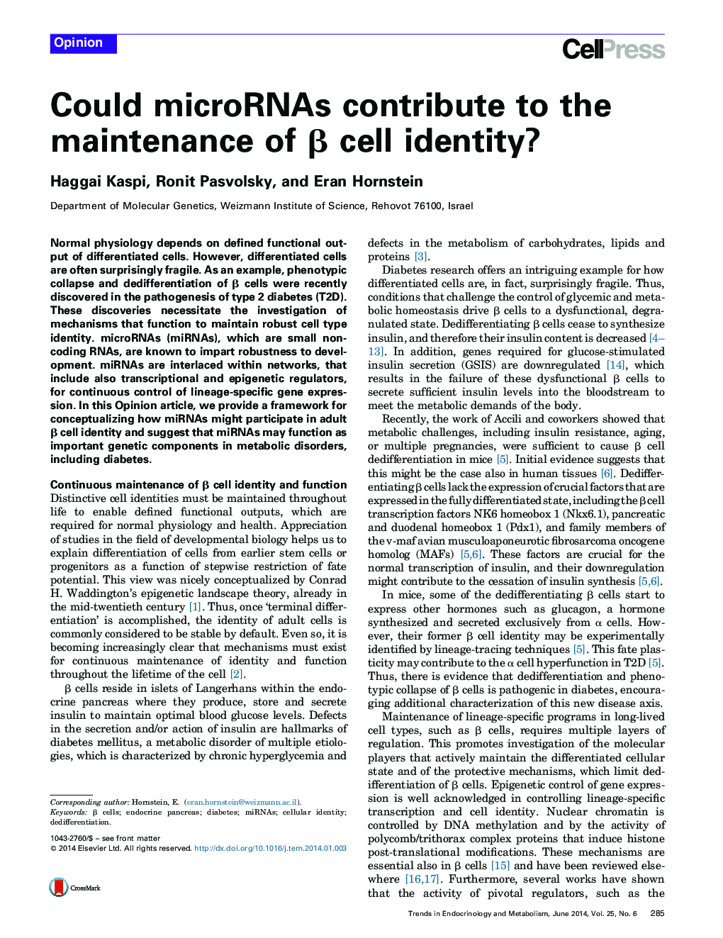 Could microRNAs contribute to the maintenance of β cell identity?