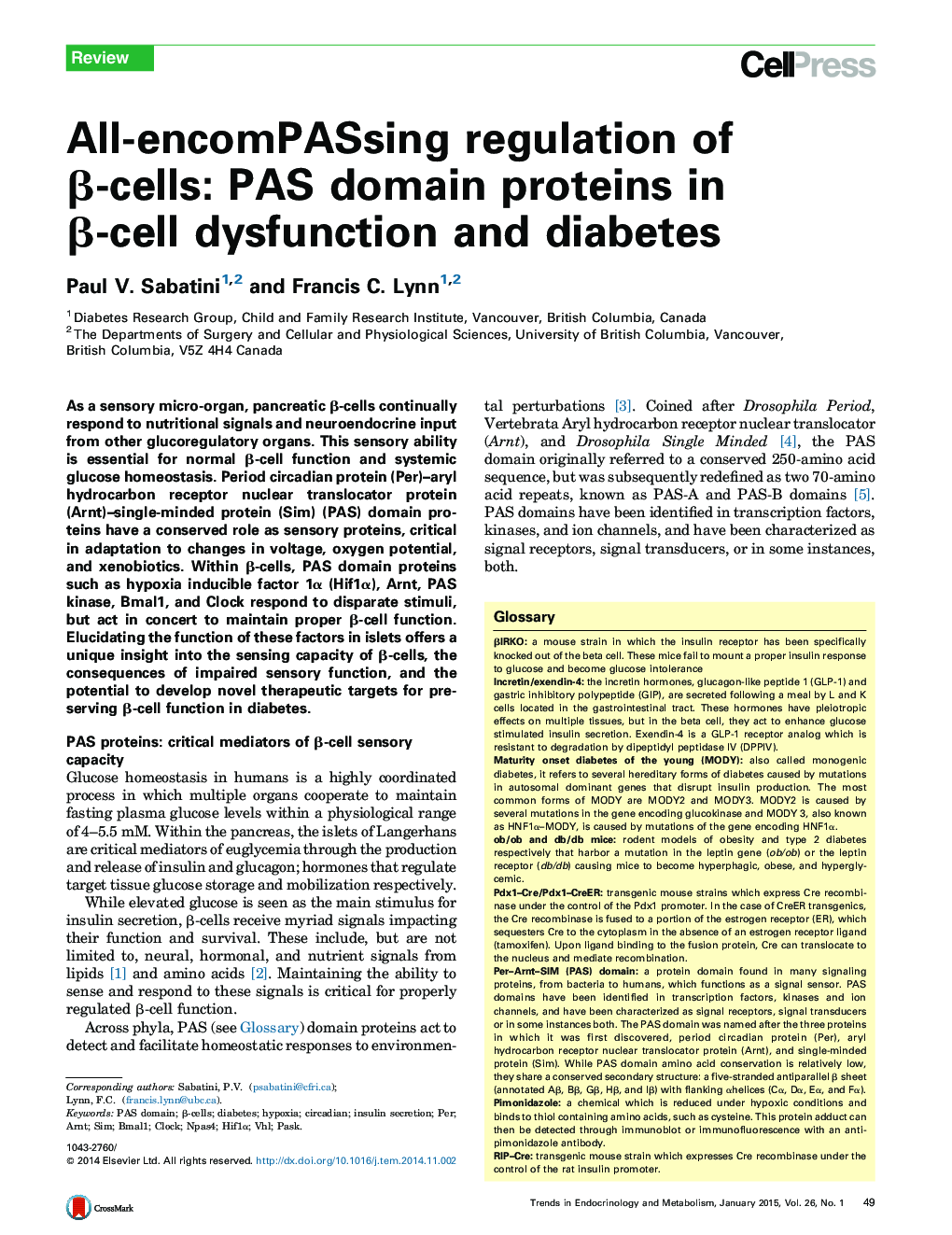 All-encomPASsing regulation of β-cells: PAS domain proteins in β-cell dysfunction and diabetes