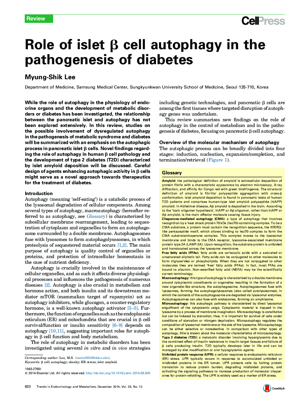 Role of islet β cell autophagy in the pathogenesis of diabetes