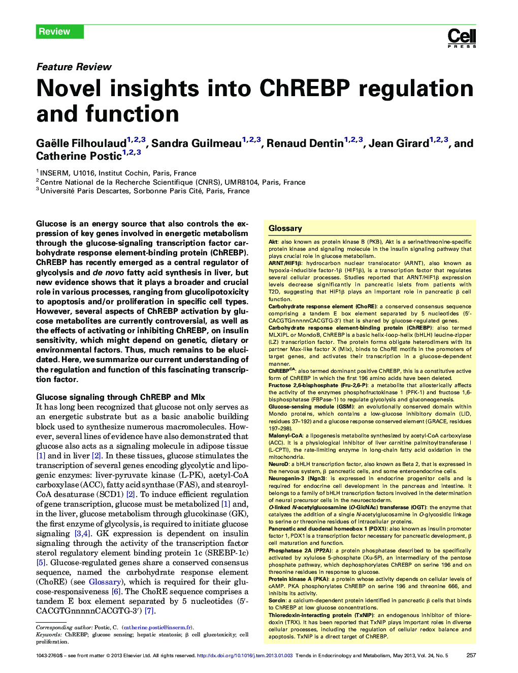 Novel insights into ChREBP regulation and function