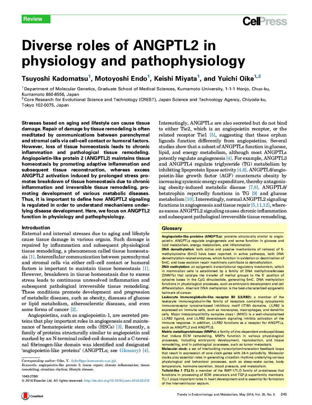 Diverse roles of ANGPTL2 in physiology and pathophysiology