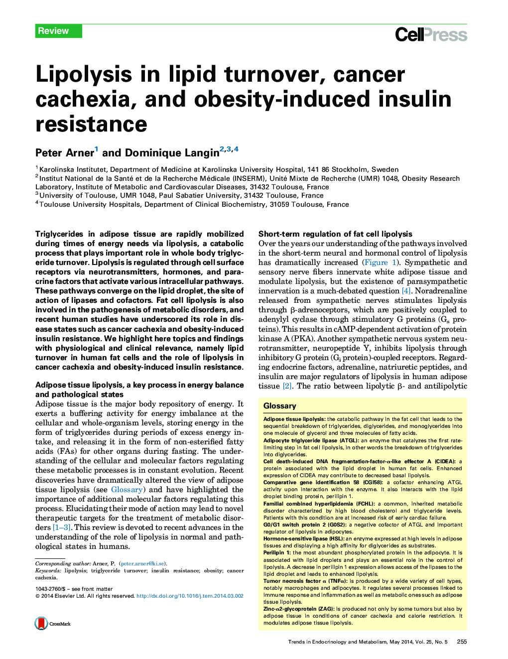 لیپولیز در گردش لیپید، کشش سرطانی و مقاومت به انسولین ناشی از چاقی 