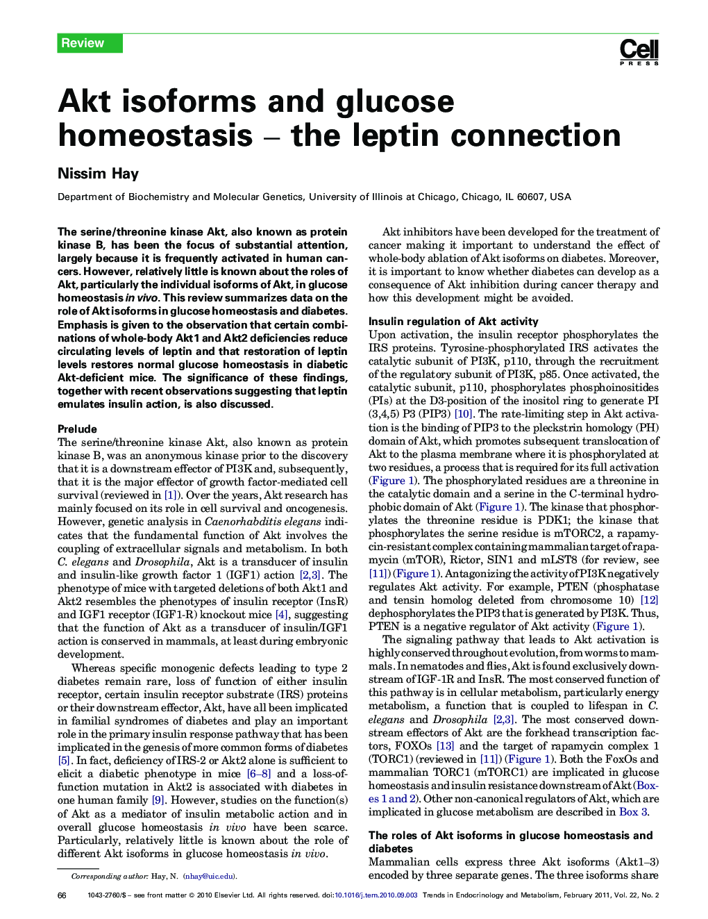 Akt isoforms and glucose homeostasis – the leptin connection