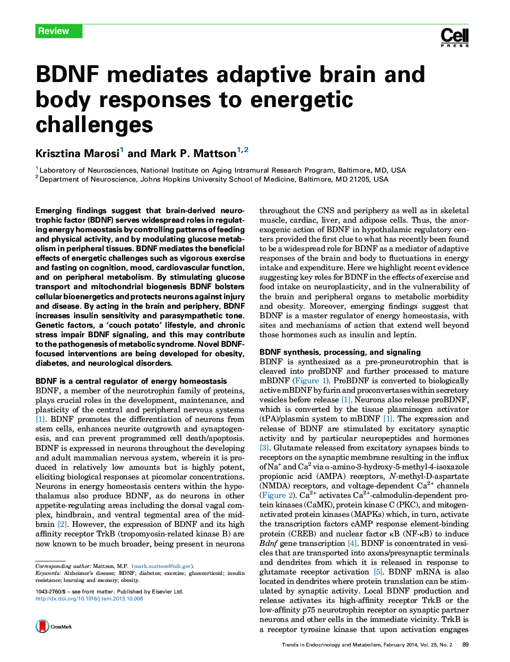 BDNF mediates adaptive brain and body responses to energetic challenges