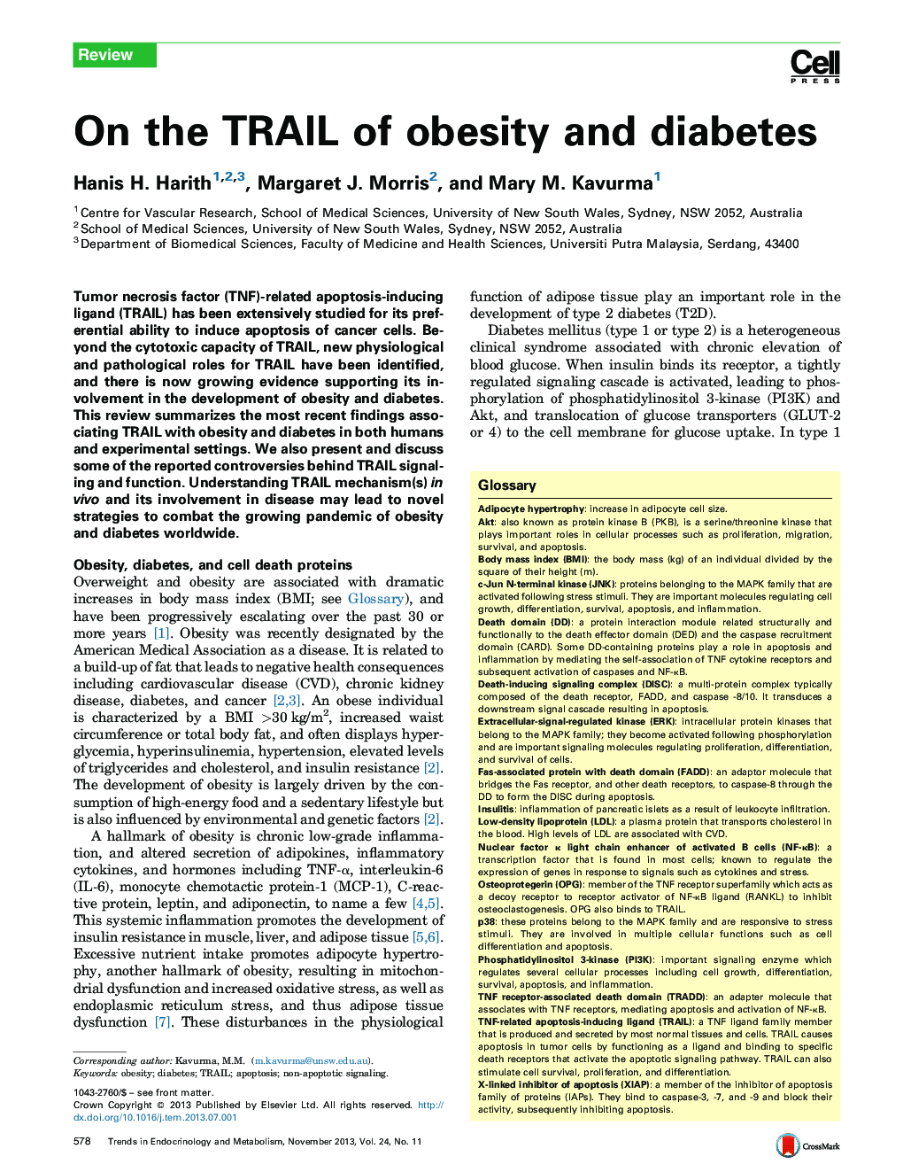 On the TRAIL of obesity and diabetes
