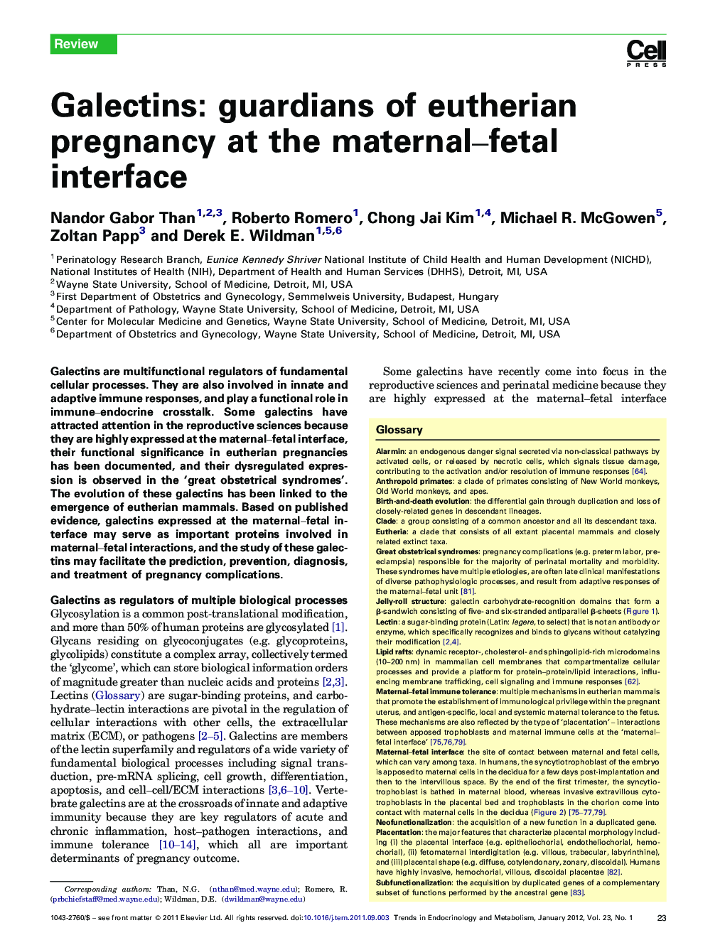 Galectins: guardians of eutherian pregnancy at the maternal–fetal interface