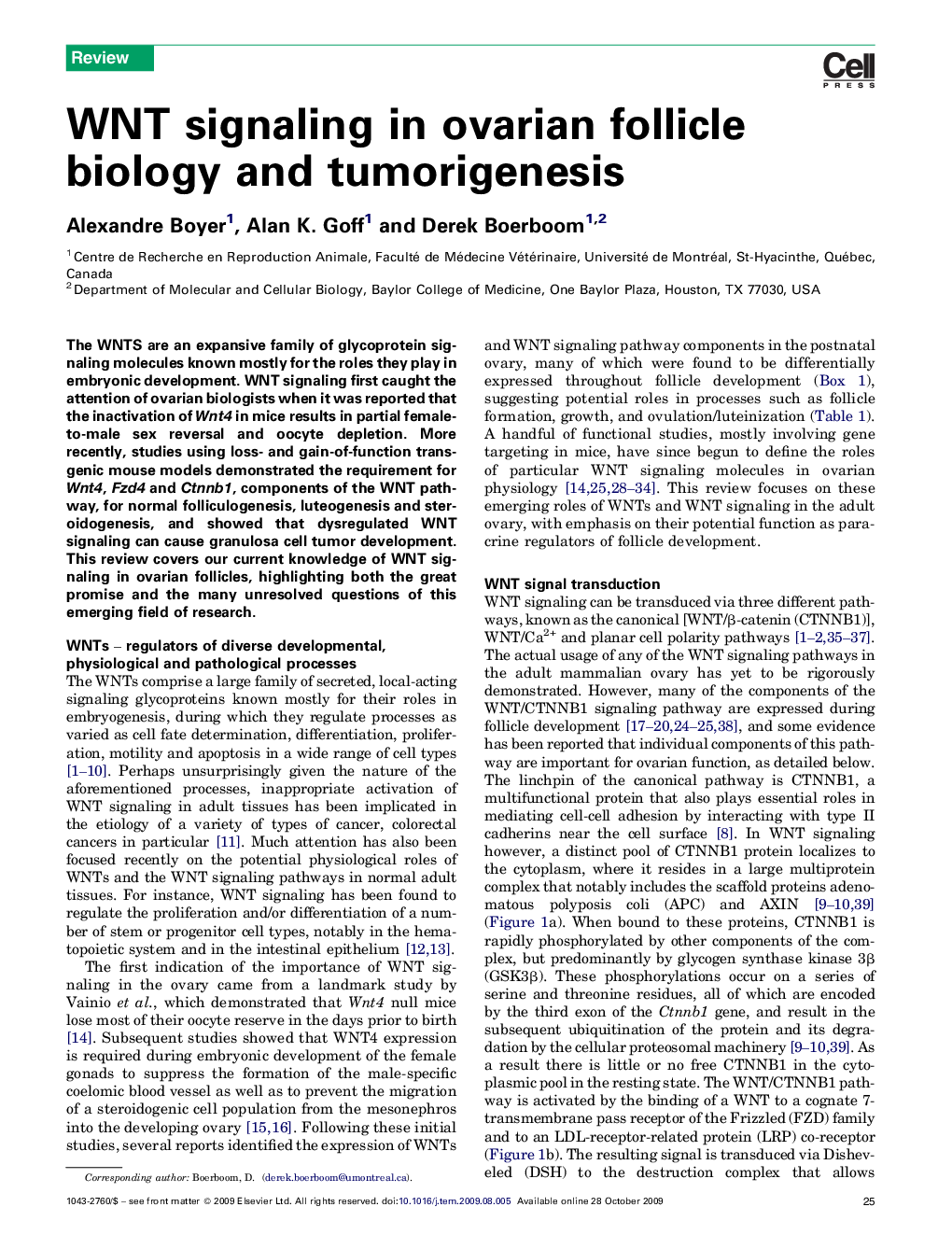 WNT signaling in ovarian follicle biology and tumorigenesis