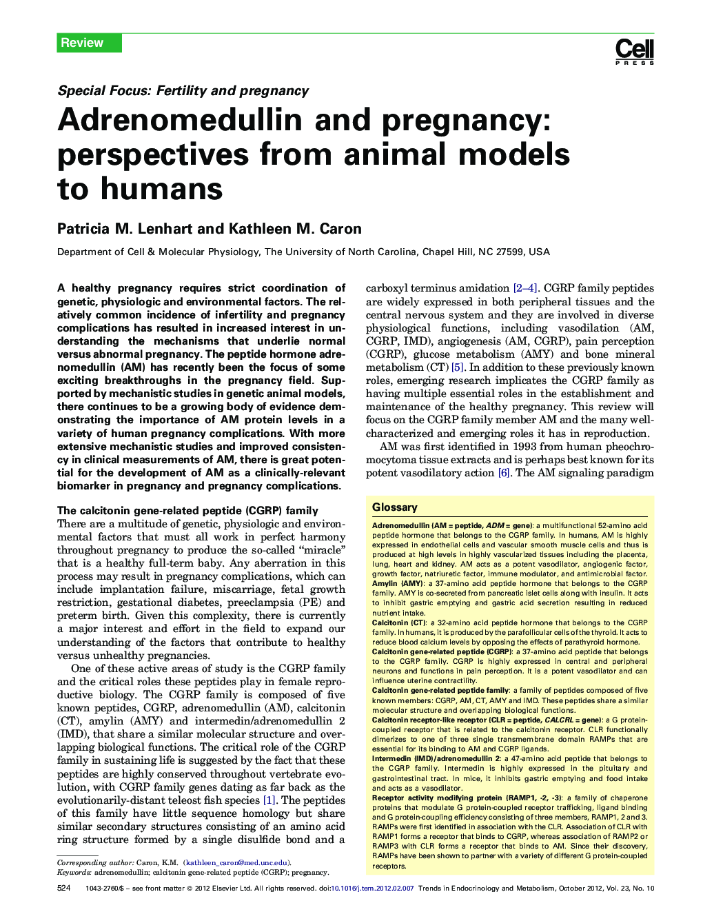 Adrenomedullin and pregnancy: perspectives from animal models to humans
