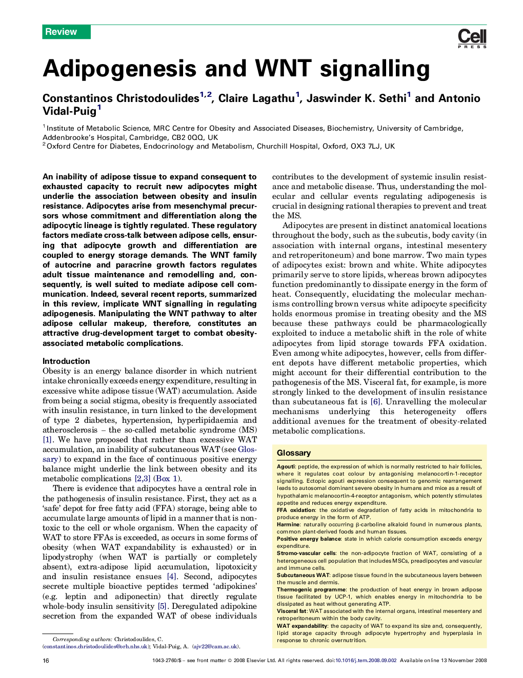 Adipogenesis and WNT signalling