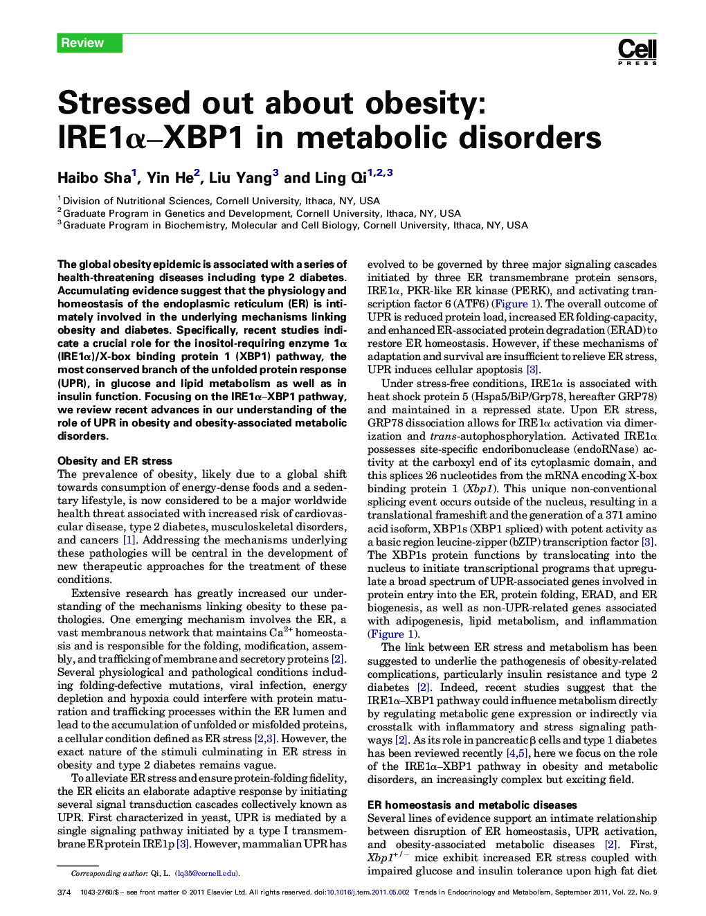 Stressed out about obesity: IRE1α–XBP1 in metabolic disorders