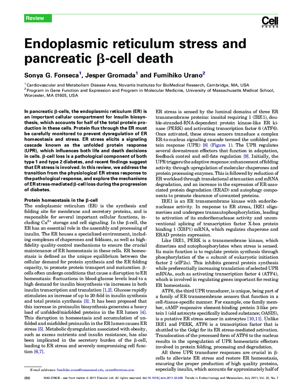 Endoplasmic reticulum stress and pancreatic β-cell death