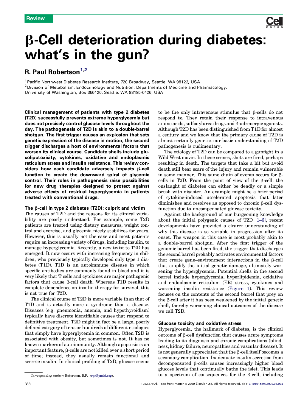 β-Cell deterioration during diabetes: what's in the gun?