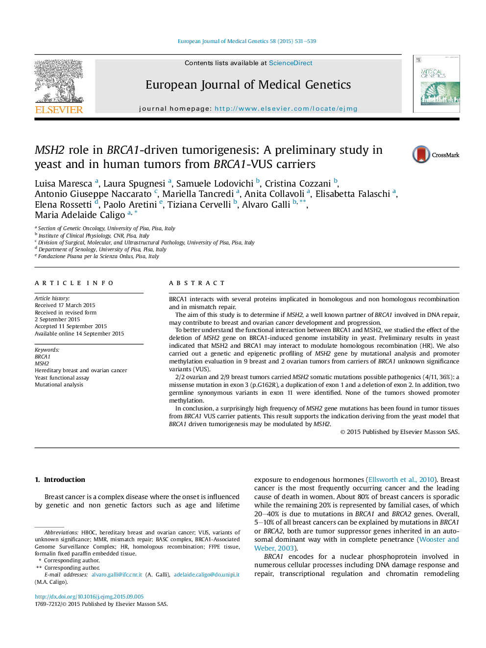 MSH2 role in BRCA1-driven tumorigenesis: A preliminary study in yeast and in human tumors from BRCA1-VUS carriers