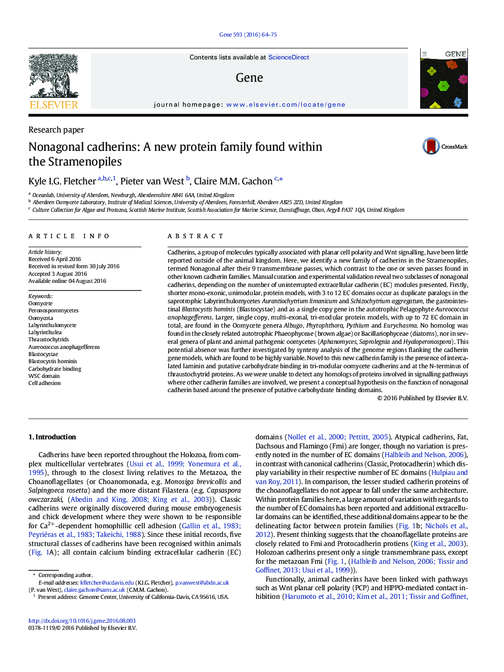 Nonagonal cadherins: A new protein family found within the Stramenopiles