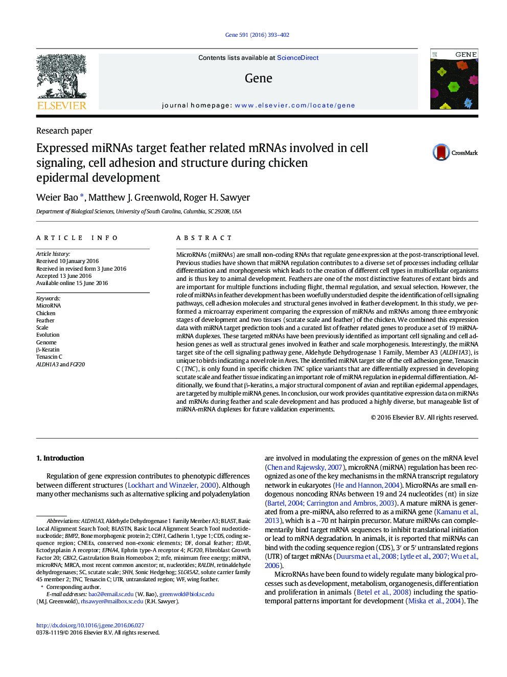 Expressed miRNAs target feather related mRNAs involved in cell signaling, cell adhesion and structure during chicken epidermal development