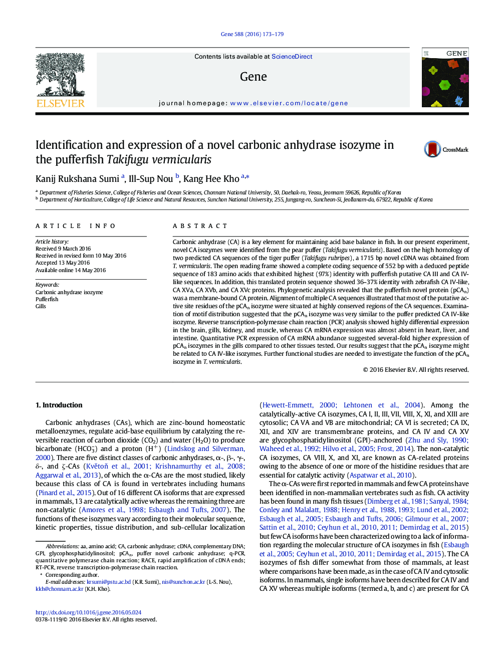 Identification and expression of a novel carbonic anhydrase isozyme in the pufferfish Takifugu vermicularis