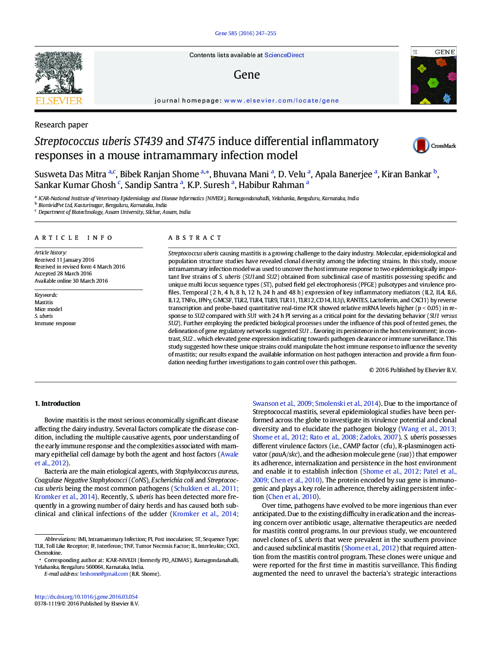 Streptococcus uberis ST439 and ST475 induce differential inflammatory responses in a mouse intramammary infection model