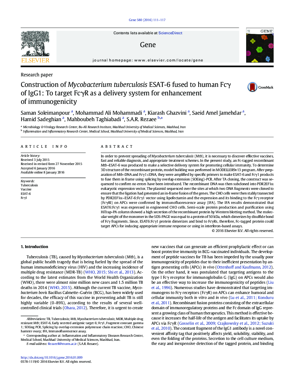 Construction of Mycobacterium tuberculosis ESAT-6 fused to human Fcγ of IgG1: To target FcγR as a delivery system for enhancement of immunogenicity