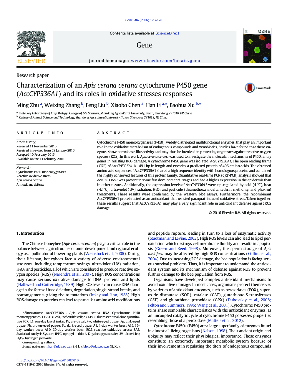 Characterization of an Apis cerana cerana cytochrome P450 gene (AccCYP336A1) and its roles in oxidative stresses responses