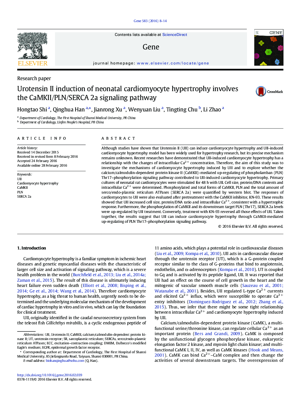 Urotensin II induction of neonatal cardiomyocyte hypertrophy involves the CaMKII/PLN/SERCA 2a signaling pathway