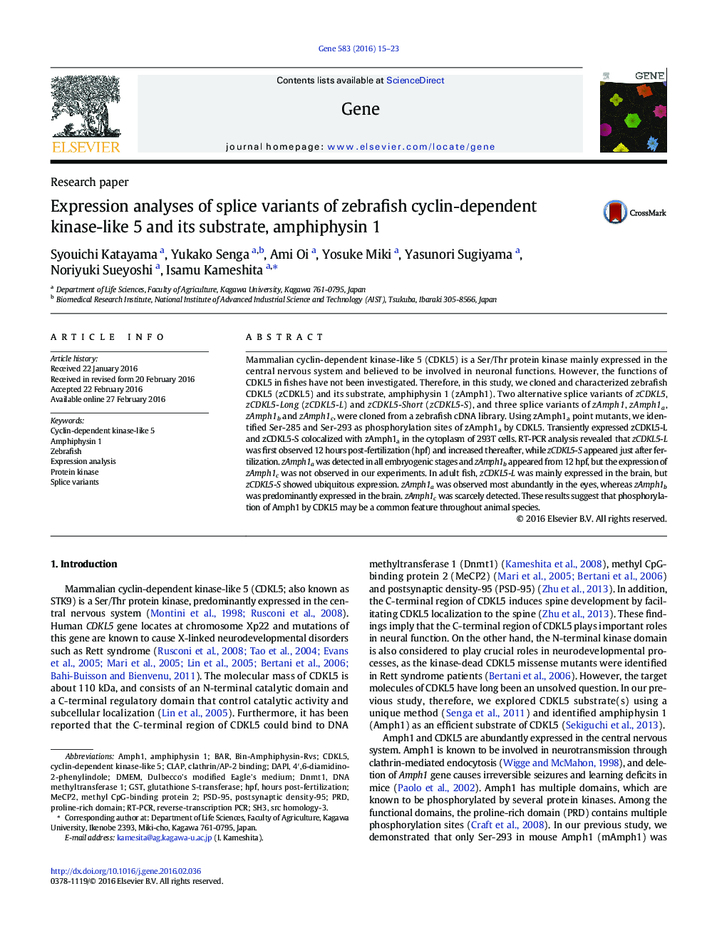 Expression analyses of splice variants of zebrafish cyclin-dependent kinase-like 5 and its substrate, amphiphysin 1