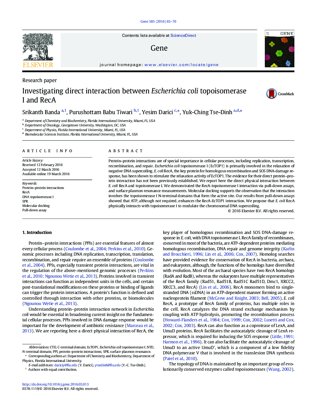 Investigating direct interaction between Escherichia coli topoisomerase I and RecA