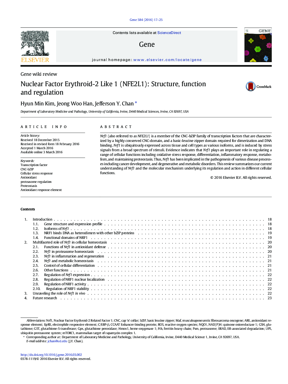 Nuclear Factor Erythroid-2 Like 1 (NFE2L1): Structure, function and regulation