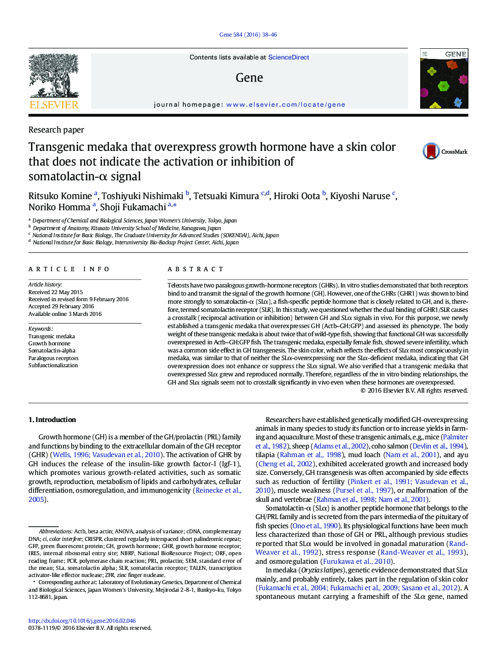 Transgenic medaka that overexpress growth hormone have a skin color that does not indicate the activation or inhibition of somatolactin-α signal