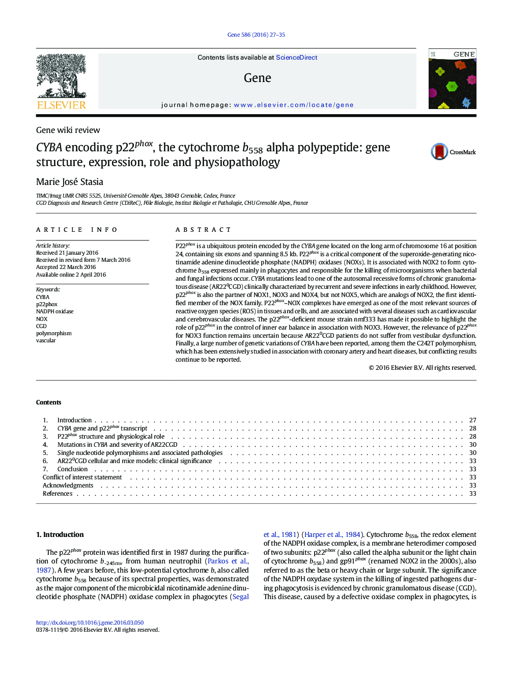 CYBA encoding p22phox, the cytochrome b558 alpha polypeptide: gene structure, expression, role and physiopathology