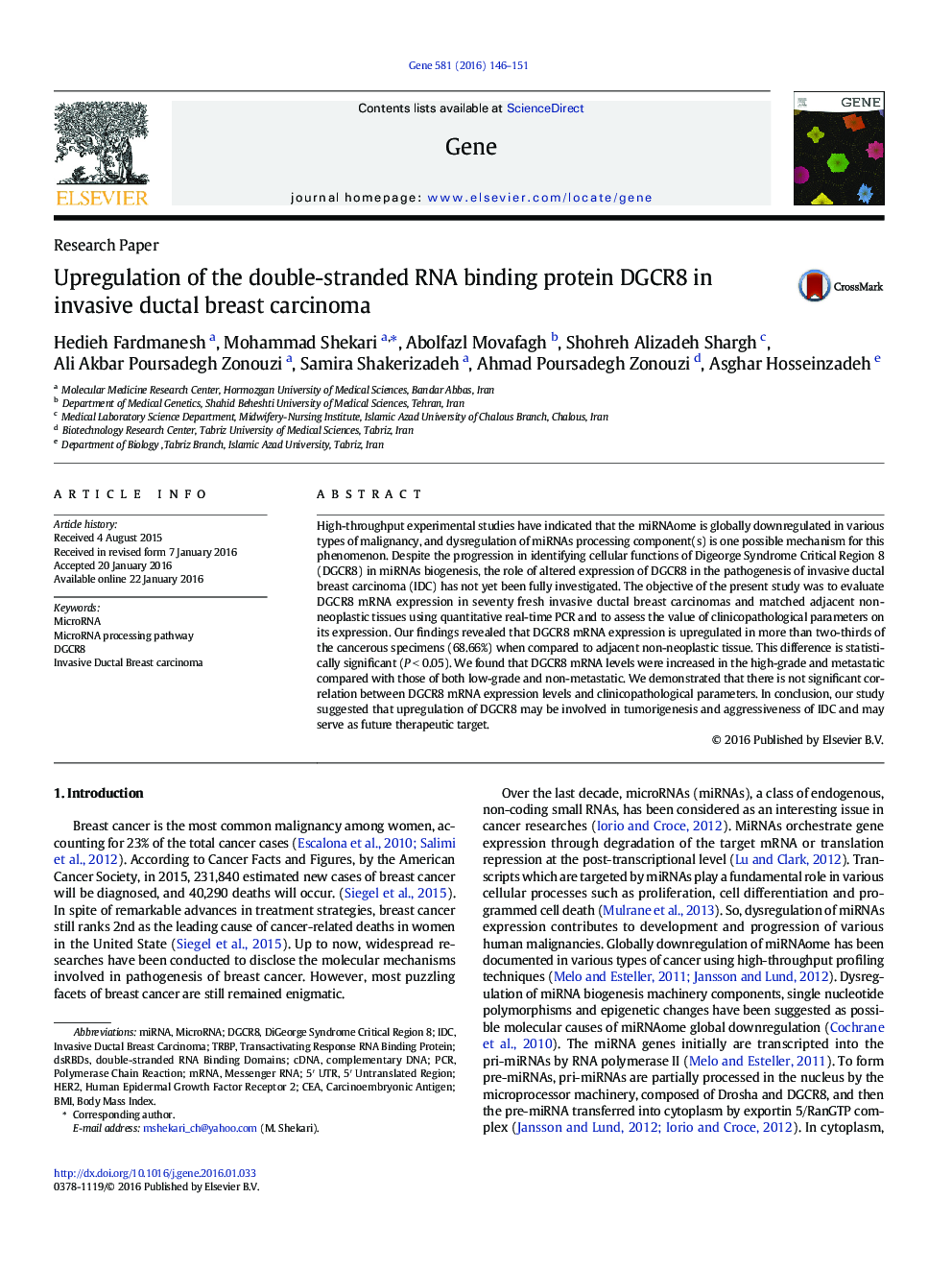 Upregulation of the double-stranded RNA binding protein DGCR8 in invasive ductal breast carcinoma