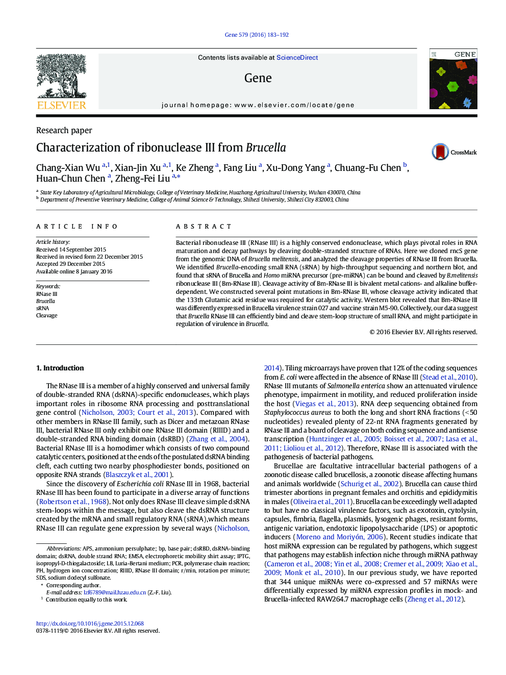 Characterization of ribonuclease III from Brucella