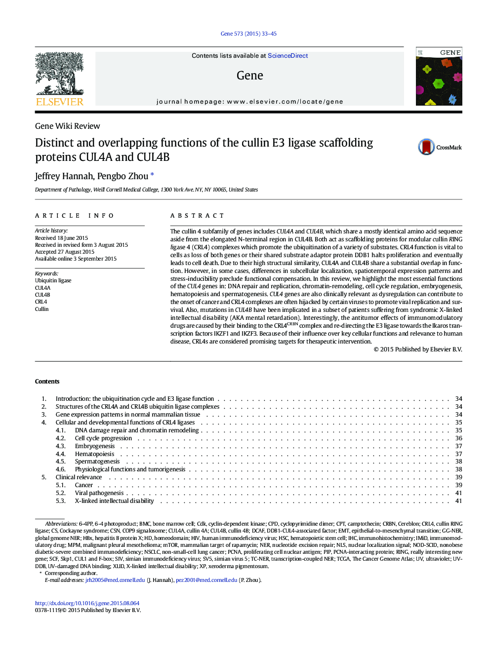 Distinct and overlapping functions of the cullin E3 ligase scaffolding proteins CUL4A and CUL4B