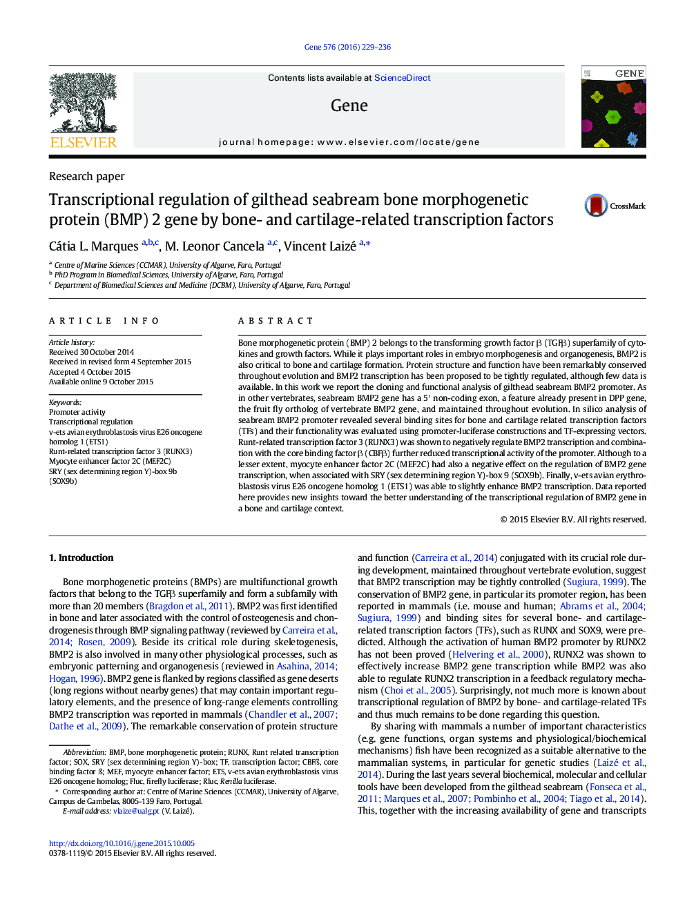 Transcriptional regulation of gilthead seabream bone morphogenetic protein (BMP) 2 gene by bone- and cartilage-related transcription factors