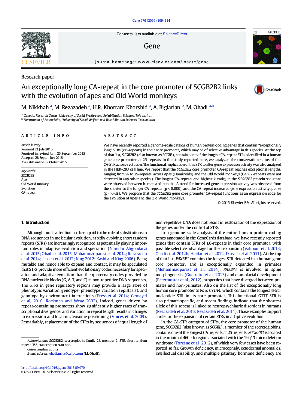 An exceptionally long CA-repeat in the core promoter of SCGB2B2 links with the evolution of apes and Old World monkeys