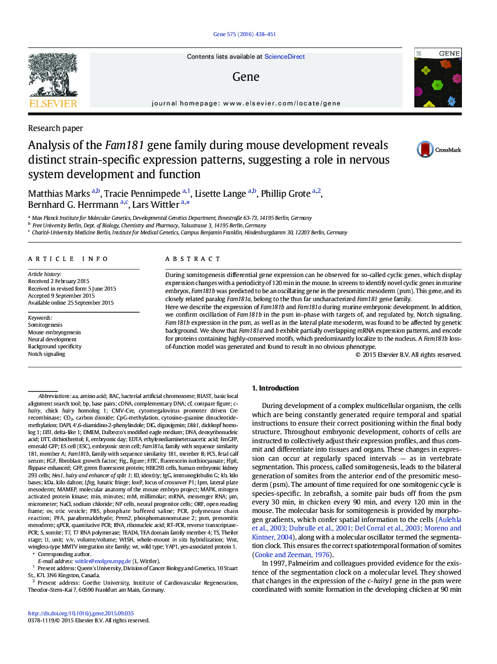 Analysis of the Fam181 gene family during mouse development reveals distinct strain-specific expression patterns, suggesting a role in nervous system development and function