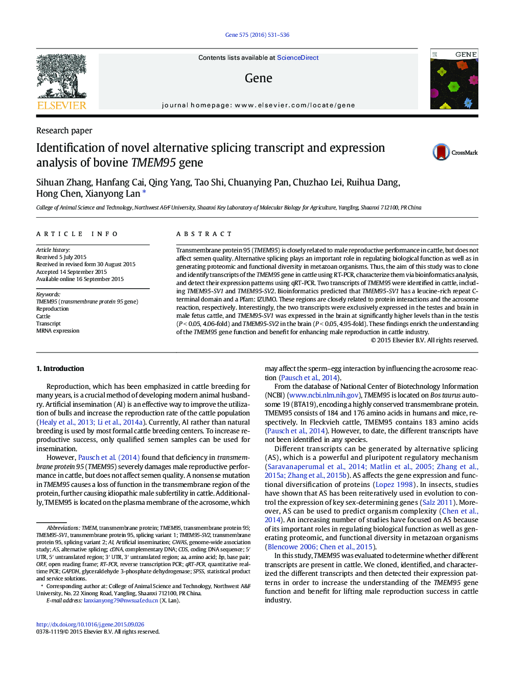 Identification of novel alternative splicing transcript and expression analysis of bovine TMEM95 gene