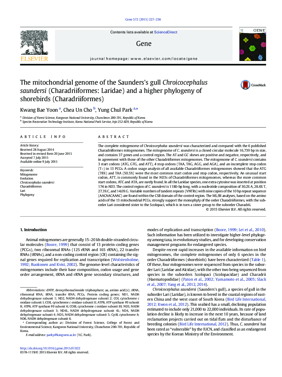 The mitochondrial genome of the Saunders's gull Chroicocephalus saundersi (Charadriiformes: Laridae) and a higher phylogeny of shorebirds (Charadriiformes)