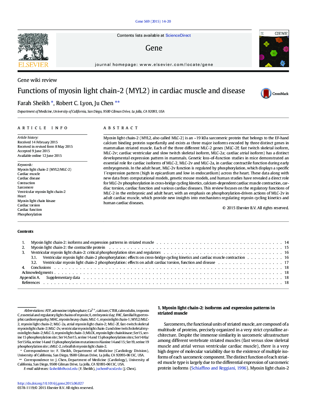 Functions of myosin light chain-2 (MYL2) in cardiac muscle and disease