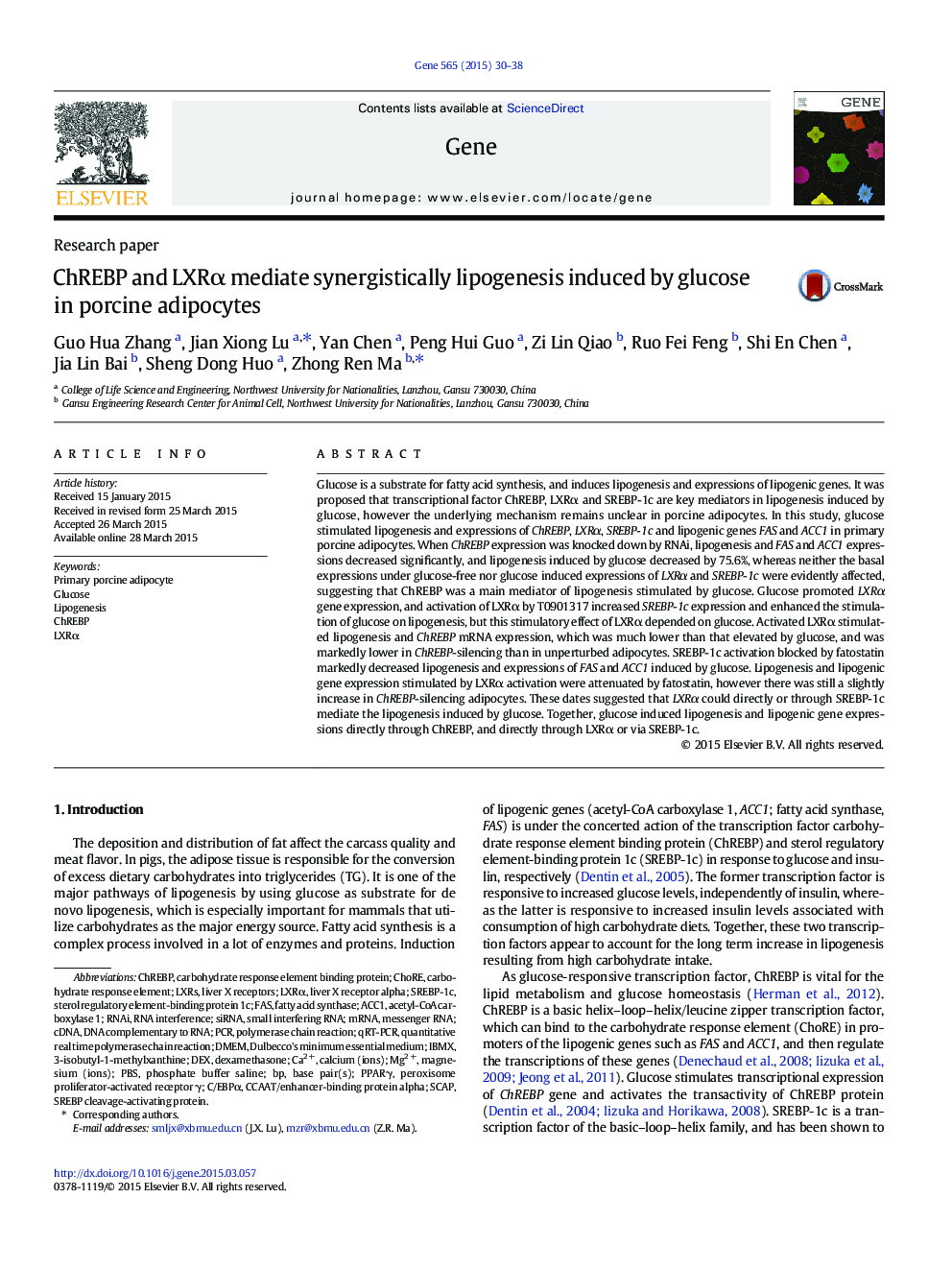 ChREBP and LXRα mediate synergistically lipogenesis induced by glucose in porcine adipocytes