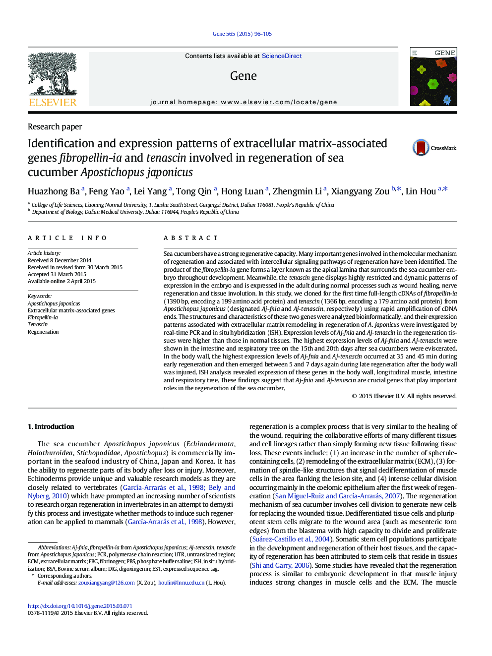 Identification and expression patterns of extracellular matrix-associated genes fibropellin-ia and tenascin involved in regeneration of sea cucumber Apostichopus japonicus