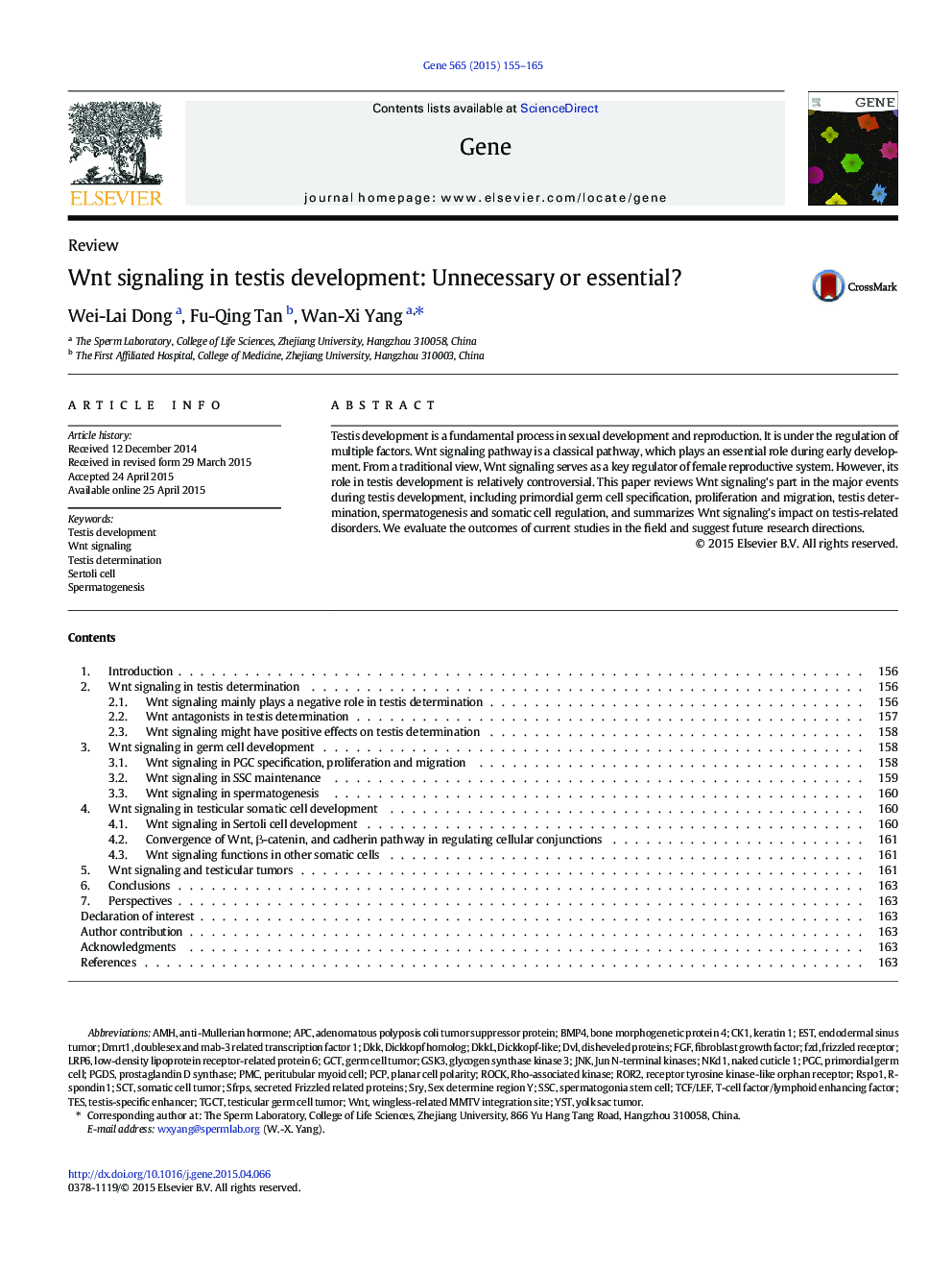 Wnt signaling in testis development: Unnecessary or essential?